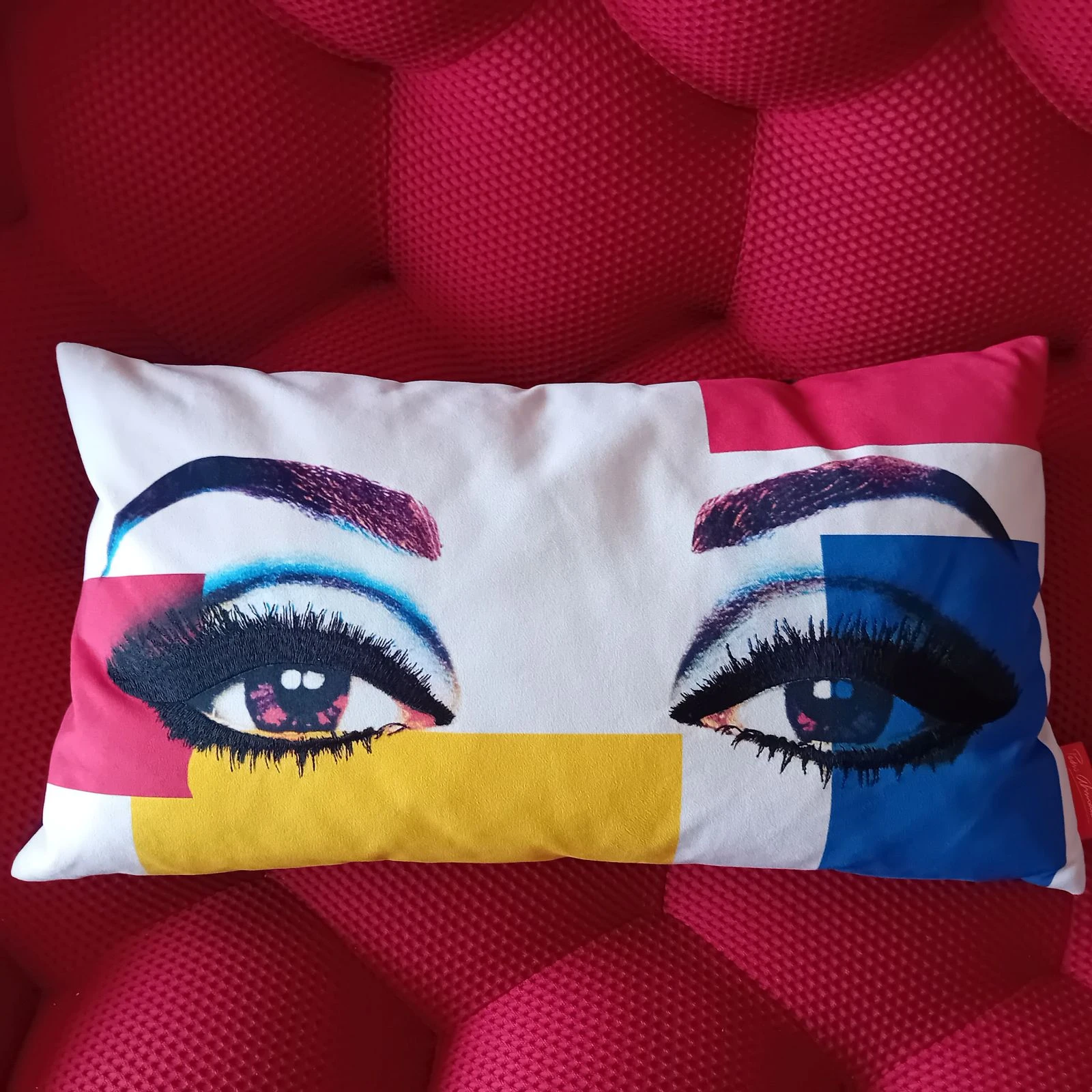 Coussin Roche Bobois